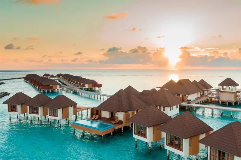 Thuyền thúng lướt nhẹ giữa rừng dừa nước xanh mát tại Cẩm Thanh Hội An