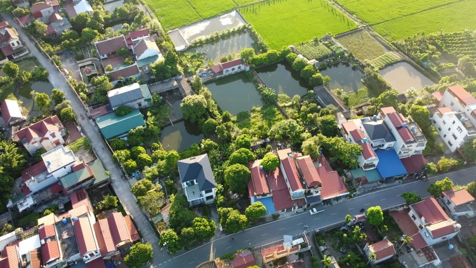 Khung cảnh đồng quê thanh bình dọc tuyến cao tốc Đà Nẵng - Quảng Ngãi