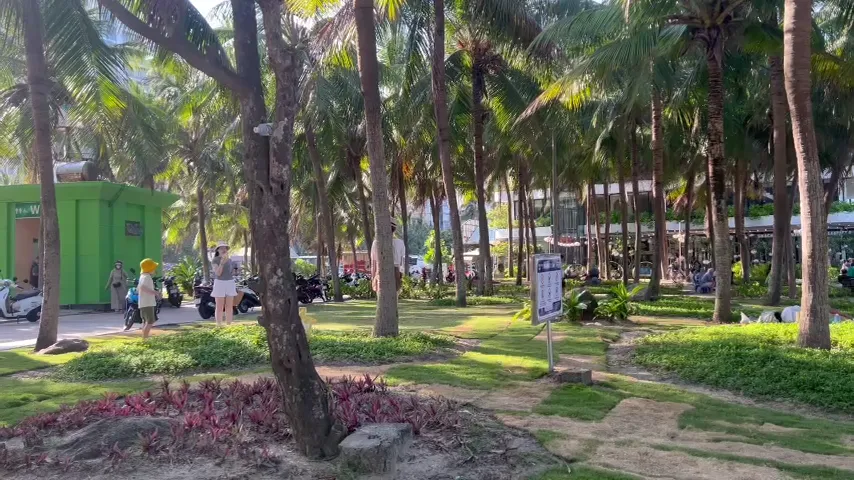 Bãi biển Đà Nẵng