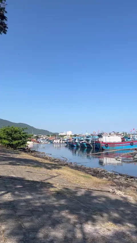 Cảng cá Thọ Quang Đà Nẵng