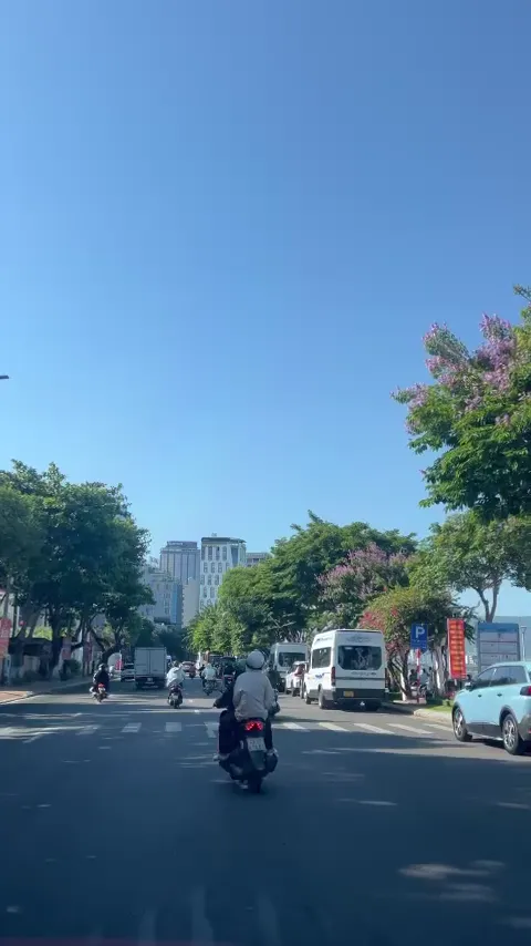 Đường Trần Đại Nghĩa Đà Nẵng