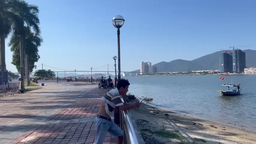 Pháo hoa Quốc tế Đà Nẵng