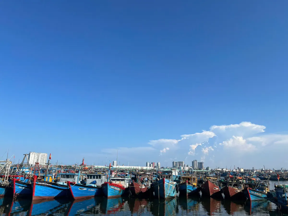 Cảng cá Thọ Quang Đà Nẵng